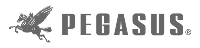 pegasus-1-logo-png-transparent-1 1